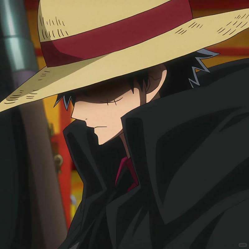 อวตารลูฟี่ (1)