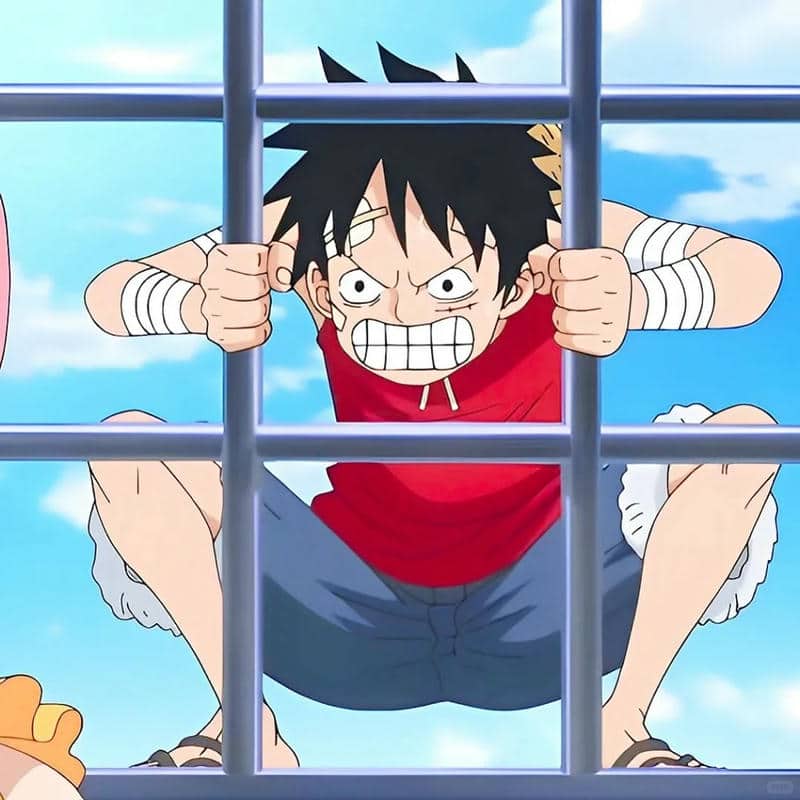 อวตารลูฟี่ (11)