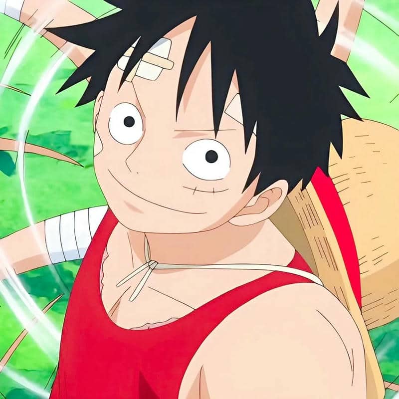 อวตารลูฟี่ (17)