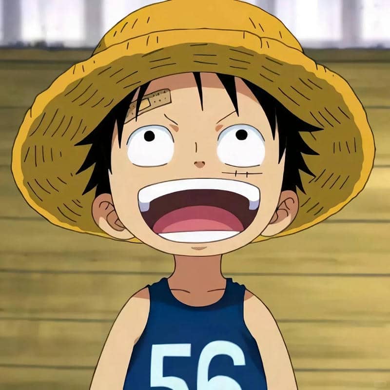 อวตารลูฟี่ (23)