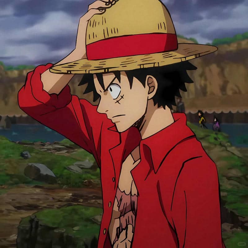 อวตารลูฟี่ (24)