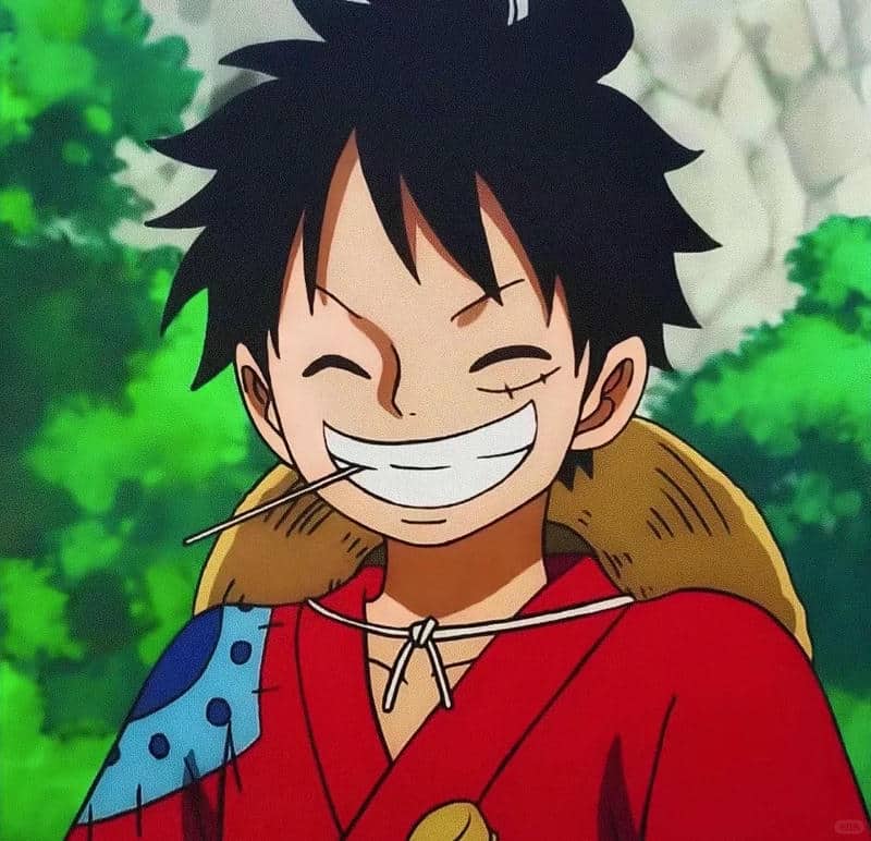 อวตารลูฟี่ (7)