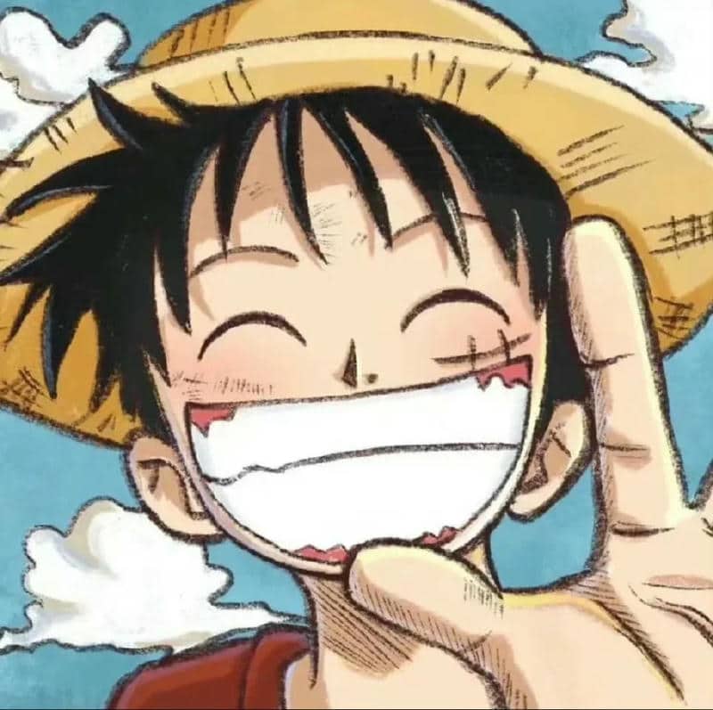 อวตารลูฟี่ (9)