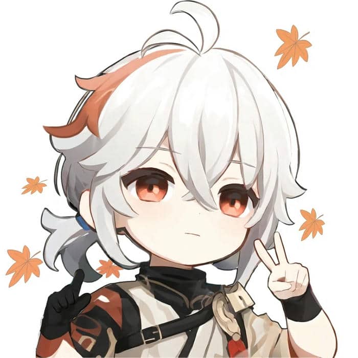 อวาตาร์จิบิf (19)