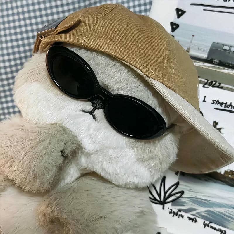 อวาตาร์ชิลล์ (11)