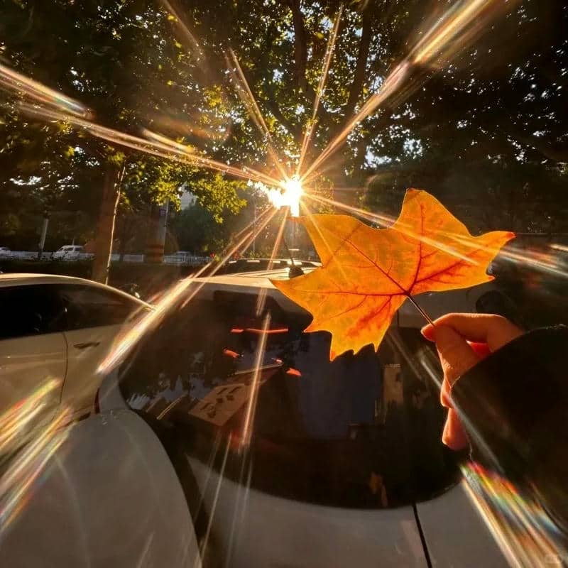 อวาตาร์ชิลล์ (12)