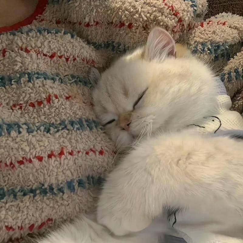 อวาตาร์ชิลล์ (16)