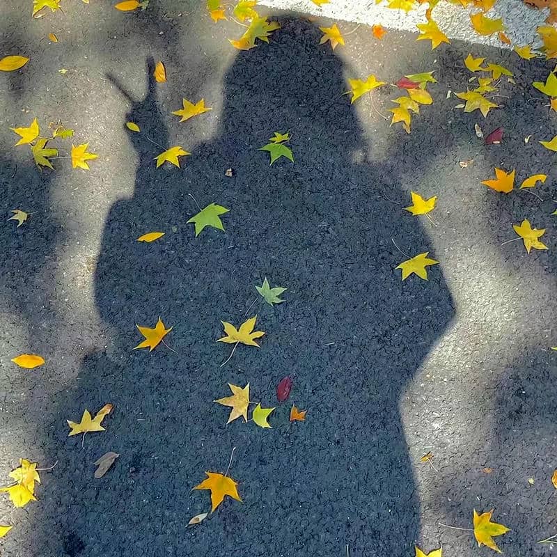 อวาตาร์ชิลล์ (2)