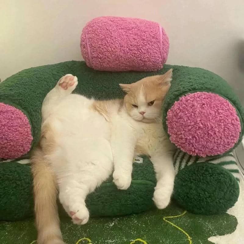 อวาตาร์ชิลล์ (20)