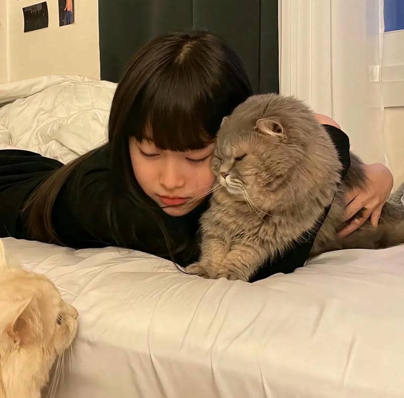 อวาตาร์ชิลล์ (25)