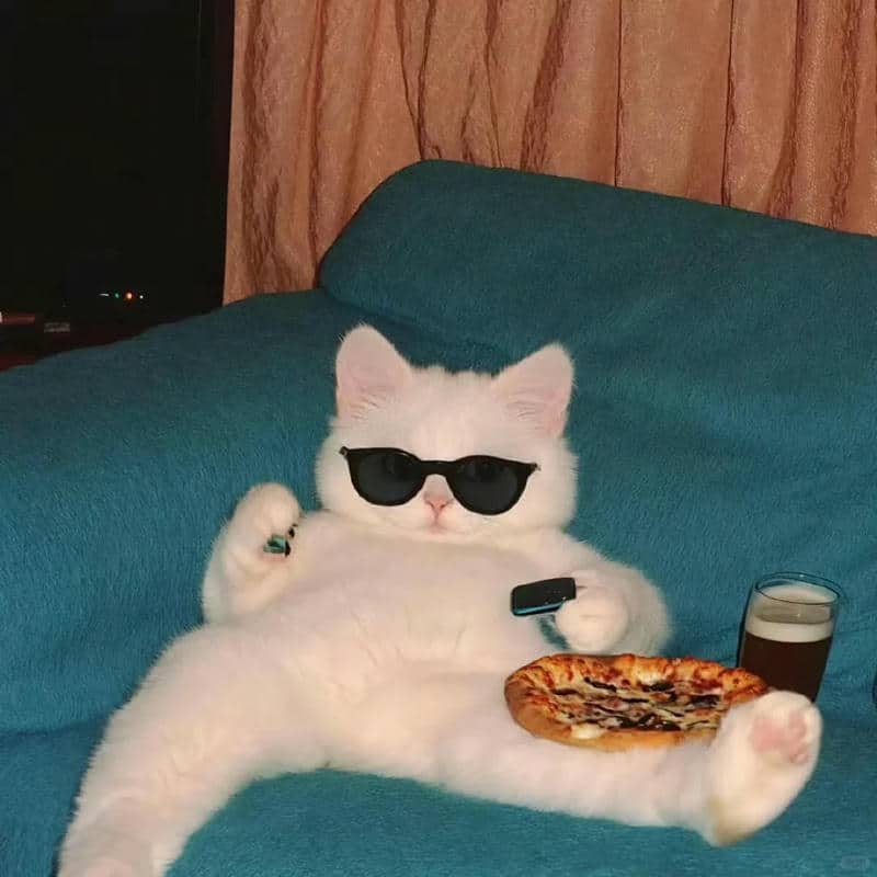 อวาตาร์ชิลล์ (28)