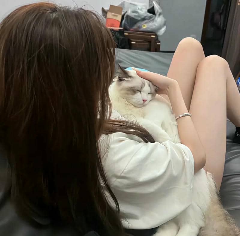 อวาตาร์ชิลล์ (31)