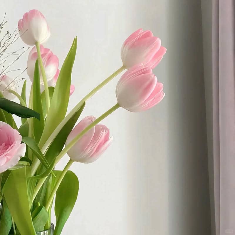 อวาตาร์ดอกทิวลิป (27)