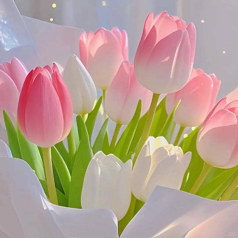 อวาตาร์ดอกทิวลิป (28)