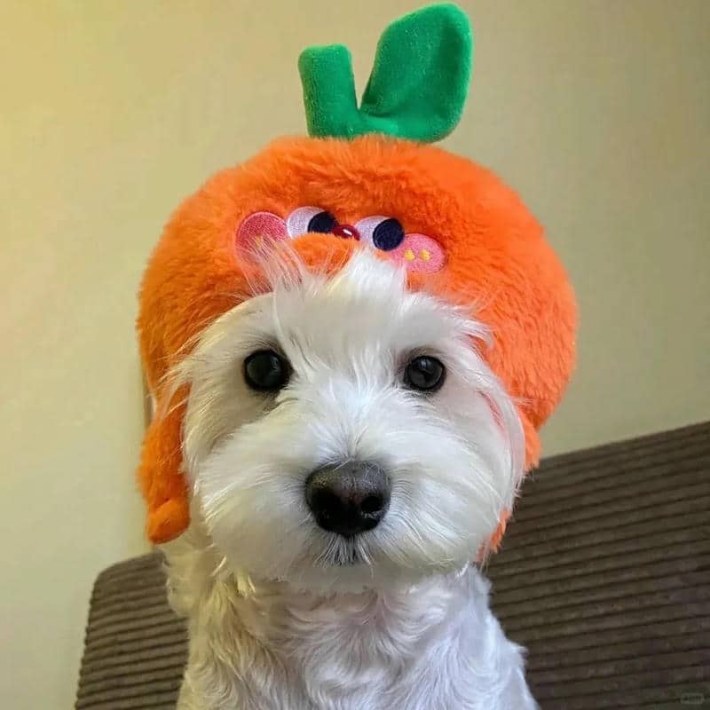 อวาตาร์สุนัขน่ารัก (23)