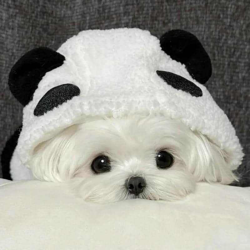 อวาตาร์สุนัขน่ารัก (28)