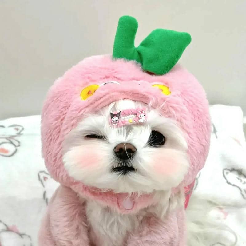 อวาตาร์สุนัขน่ารัก (29)