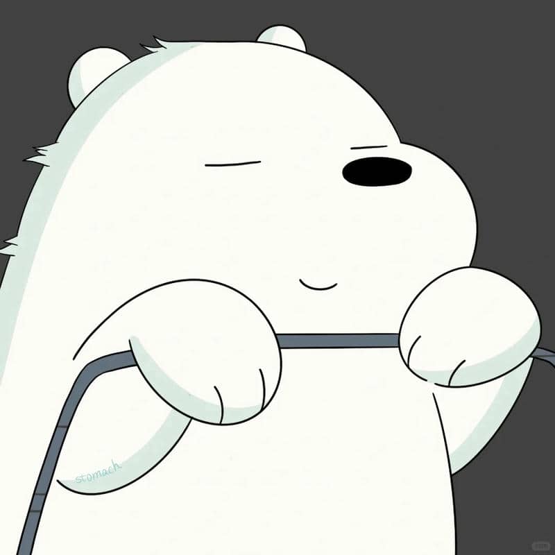 อวาตาร์หมี (16)