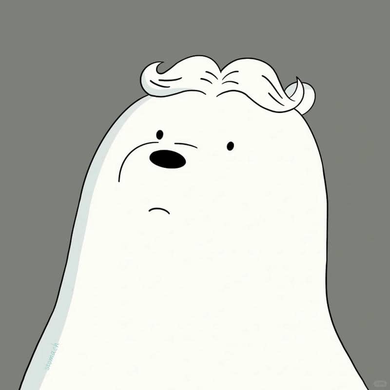 อวาตาร์หมี (17)