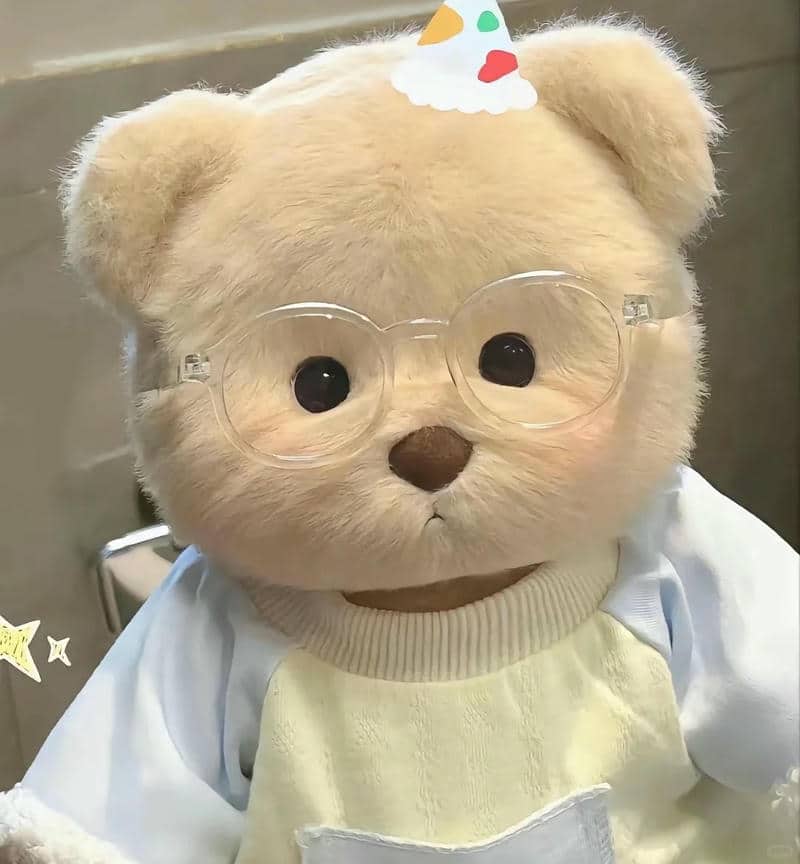 อวาตาร์หมี (5)