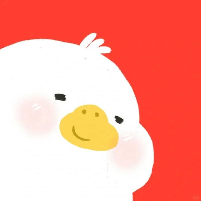 อวาตาร์เป็ด (1)