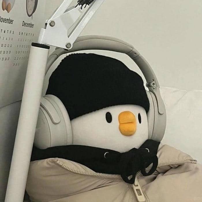 อวาตาร์เป็ด (10)