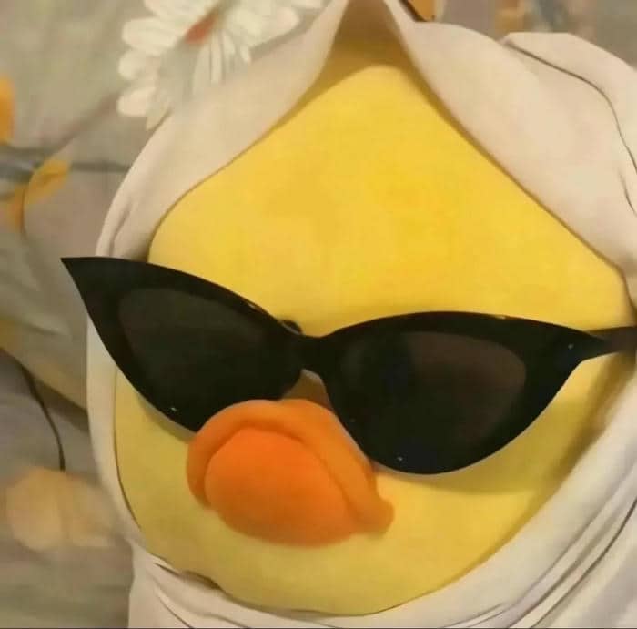 อวาตาร์เป็ด (21)