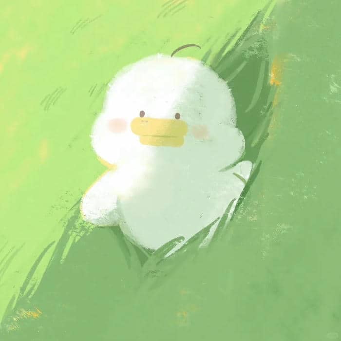 อวาตาร์เป็ด (27)