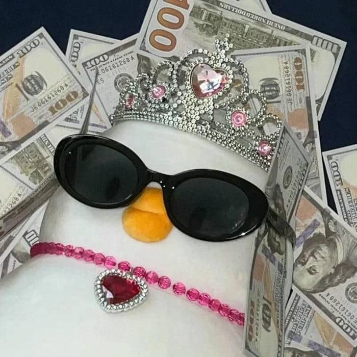 อวาตาร์เป็ด (3)