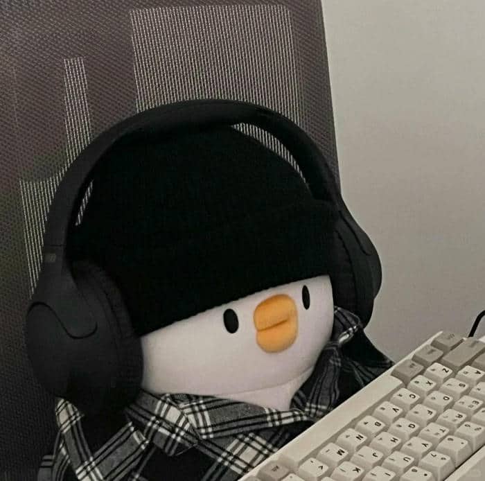 อวาตาร์เป็ด (6)