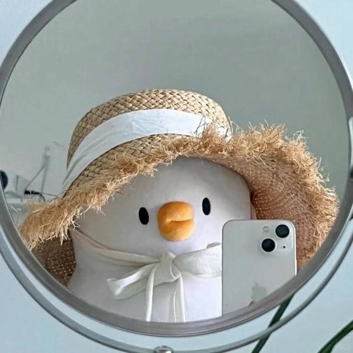 อวาตาร์เป็ด (7)