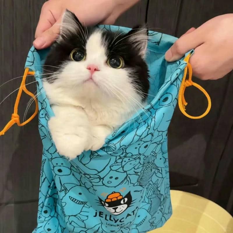 อวาตาร์แมว (15)