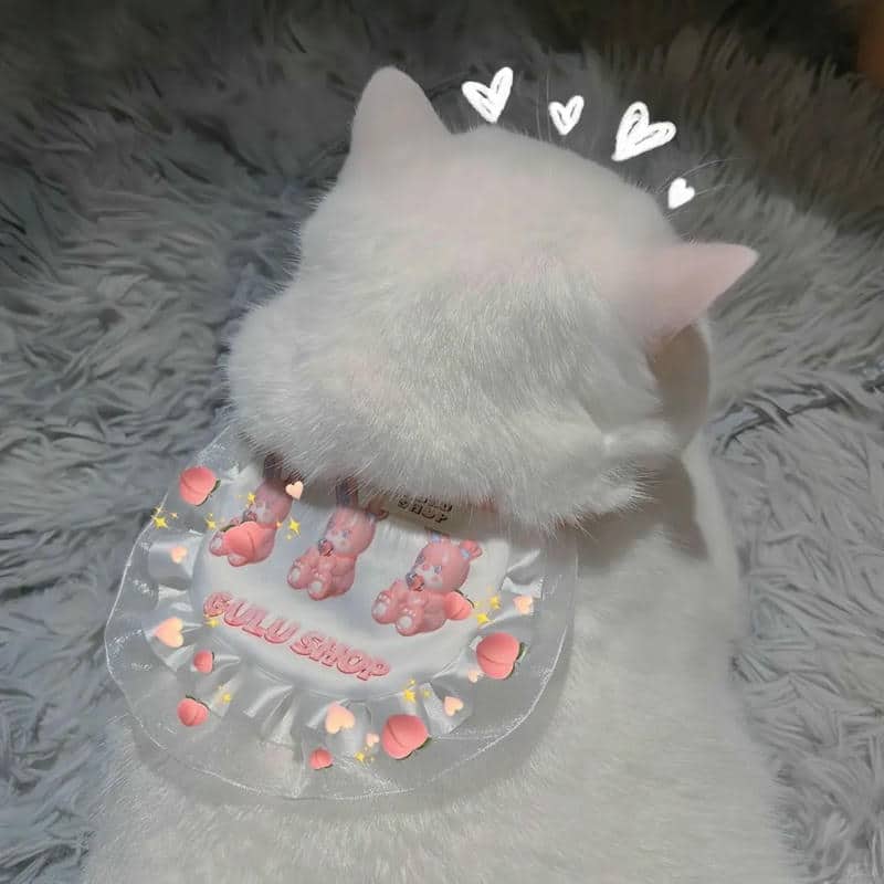 อวาตาร์แมว (28)